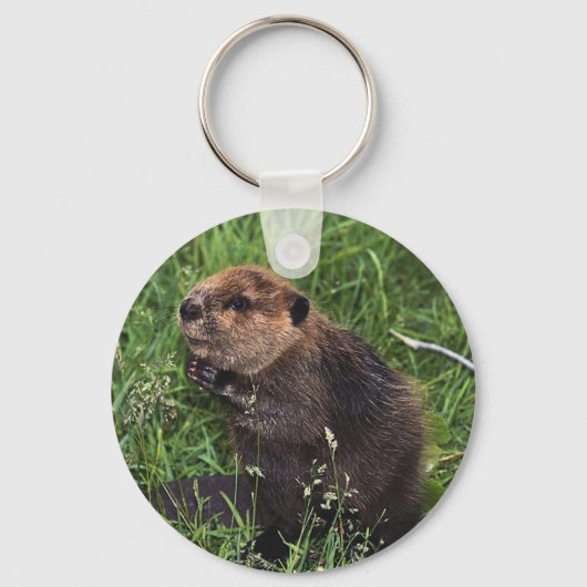 Cute Little Beaver Sleutelhanger (Voorkant)