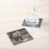 Cute Little Beige Dinosaur Onderzetter (Insitu)