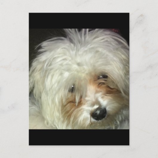 Cute Little Casper Briefkaart (Voorkant)