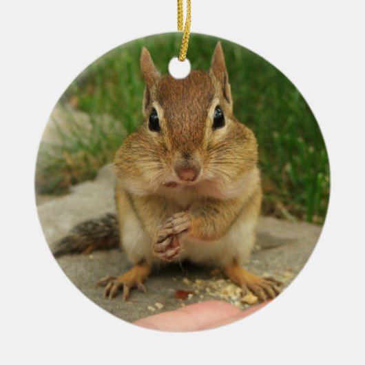 Cute Little Cheeky Chipmunk Keramisch Ornament (Voorkant)