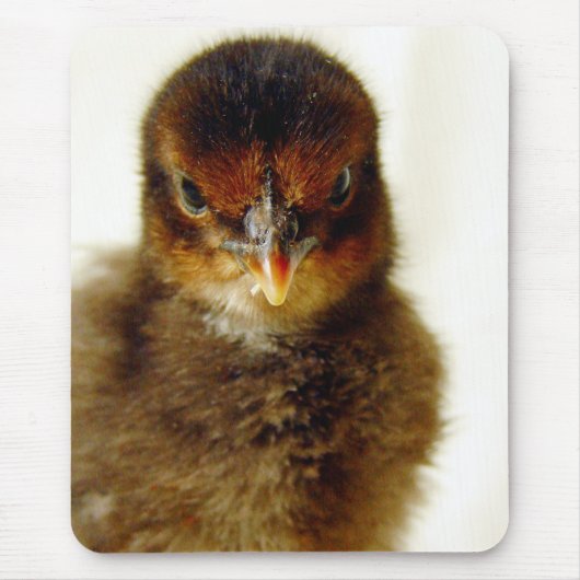 Cute Little Chick Muismat (Voorkant)