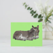 Cute Little Chocolate Donkey Foal Dozing on green Briefkaart (Staand voorkant)