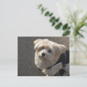Cute Little Dog DIY Briefkaart (Staand voorkant)