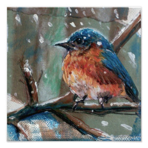 Cute Little Eastern Blue Bird Painting Winter Foto Afdruk