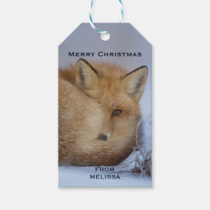 Cute Little Fox gekruld op Winter Foto Kerstmis Cadeaulabel
