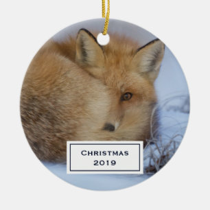 Cute Little Fox gekruld op Winter Foto Kerstmis Keramisch Ornament
