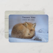 Cute Little Fox kwam in de winter. Foto bedankt (Voorkant / Achterkant)