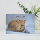 Cute Little Fox kwam in de winter. Foto bedankt (Staand voorkant)