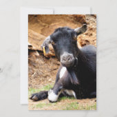 CUTE LITTLE GOAT Invitation (Voorkant)