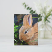 Cute Little Golden Bunny Briefkaart (Staand voorkant)