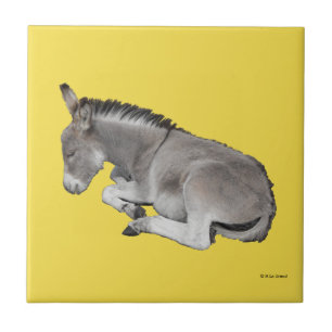 Cute Little Grey Donkey Baby Foal Slaping Tegeltje