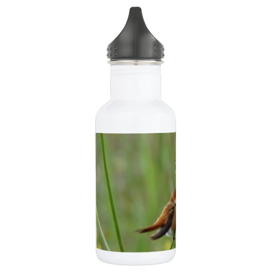 Cute Little Hummingbird Waterfles (Links)