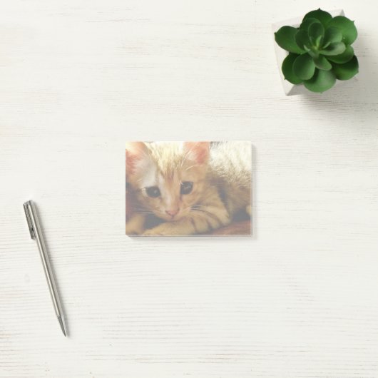 Cute Little Kitten Post-it® Notes (Kantoor)