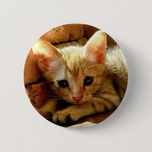 Cute Little Kitten Ronde Button 5,7 Cm