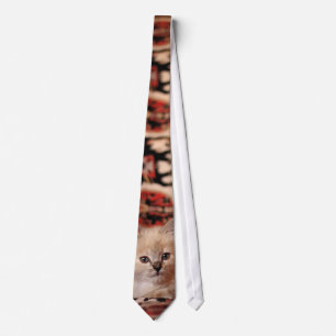 Cute Little Kitten Stropdas