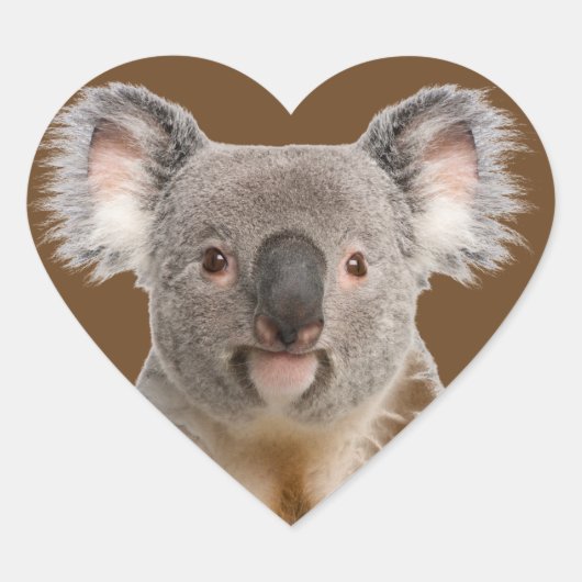 Cute Little Koala Beer Australian Animal Hart Sticker (Voorkant)