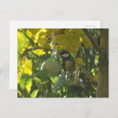 Cute Little Mating Bird do-it-yourself Carte posta (Devant / Derrière)