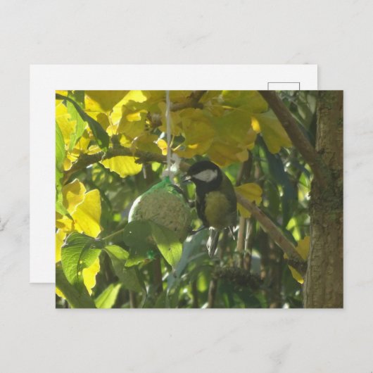 Cute Little Mating Bird do-it-yourself Carte posta (Devant / Derrière)