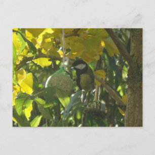 Cute Little Mating Bird DO-IT-YOURSELF Carte posta