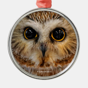 Cute Little Northern Saw Whet Owl Metalen Ornament