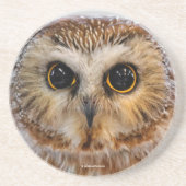 Cute Little Northern Saw Whet Owl Zandsteen Onderzetter (Voorkant)