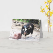 Cute Little Piggy - Carte Anniversaire (Fleur jaune)