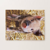 Cute Little Piglet Legpuzzel (Horizontaal)