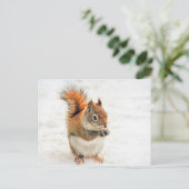 Cute Little Squirrel Eating Nuts Briefkaart (Staand voorkant)