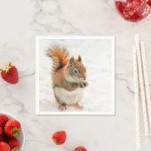 Cute Little Squirrel Eating Nuts Servet (Insitu)