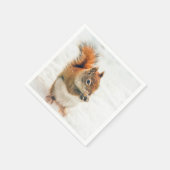 Cute Little Squirrel Eating Nuts Servet (Hoek)