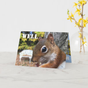 Cute Little Squirrel Kaart
