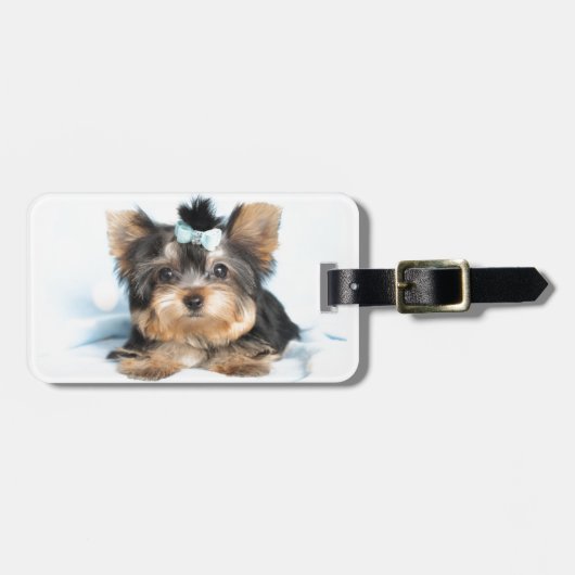 Cute Little Tiny Yorkie Pup-ontwerp Bagagelabel (Voorkant horizontaal)