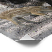 Cute Little Wild Pigs Square Poster Perfect Poster (Hoek)