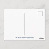 Cute Little Yorkie Terrier Briefkaart (Achterkant)