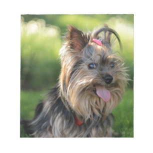 Cute Little Yorkshire Terrier Dog Notitieblok