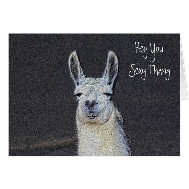 Cute Llama Face Humoriscard (Humoritaire verjaarda (Voorkant Horizontaal)