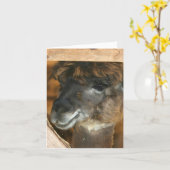 Cute Llama Farm Animal Photography Note Kaart (Gele Bloem)