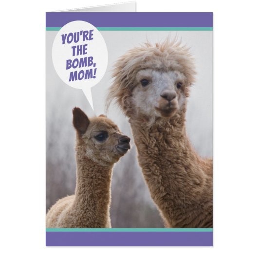 Cute Llama net als jij Moederdag Kaart (Voorkant)