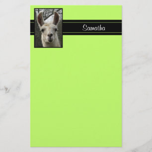 Cute Llama Persoonlijke schrijfbenodigdheden Briefpapier