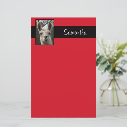 Cute Llama Persoonlijke schrijfbenodigdheden Briefpapier (Staand voorkant)