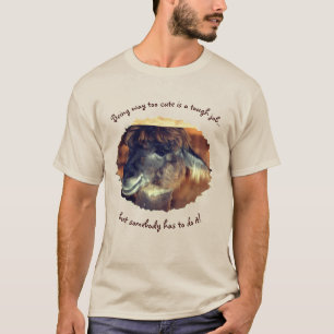 Cute Llama too Cute Humorisa T-shirt