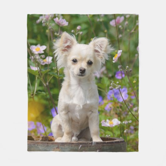 Cute long-haire Chihuahua Dog Puppy Photo - Fleece Deken (Voorkant)