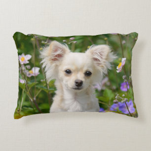 Cute long-haire Chihuahua Dog Puppy Photo - Throw Accent Kussen
