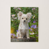 Cute long-haring crème Chihuahua Dog Puppy - Game Legpuzzel (Verticaal)