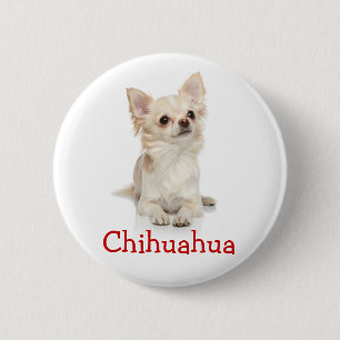 Cute Long Hazard Chihuahua Button Pin