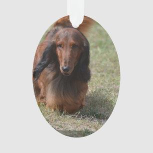 Cute Long Hazard Daschund Ornament