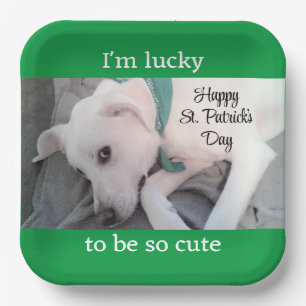 Cute Lucky White Dog met Green Scarf Papieren Bordje