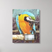 CUTE MACAW CANVAS AFDRUK (Voorkant)