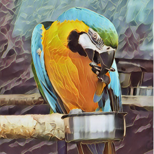 CUTE MACAW GOLFBALLEN