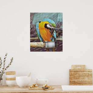 CUTE MACAW POSTER
